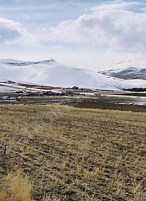 Fotoğraf